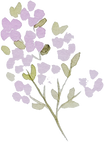 Watercolor Purple Wildflowers