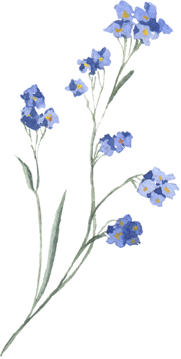 Watercolor Wildflowers